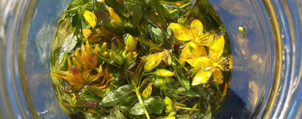 stages bien-etre couleurs vegetales extraction pigments naturels alchimie pouvoirs créateurs des plantes magie