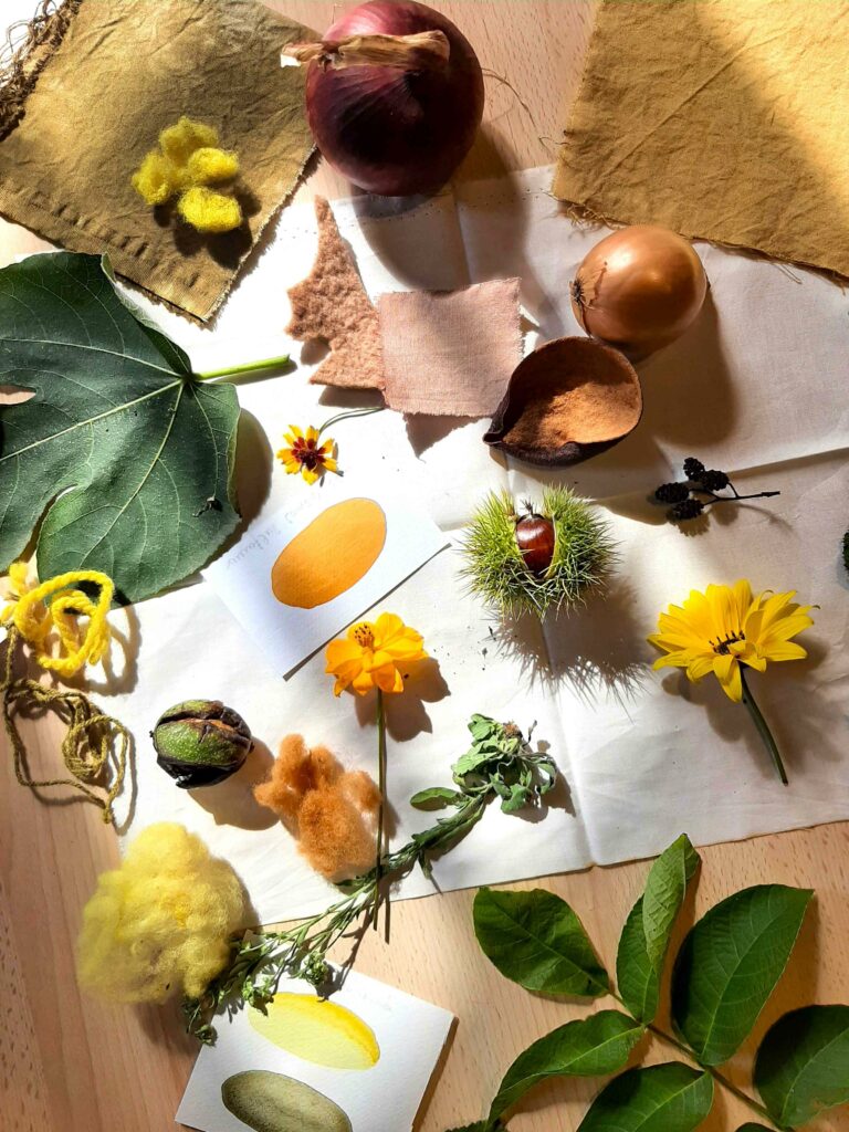 plantes tinctoriales et couleurs vegetales